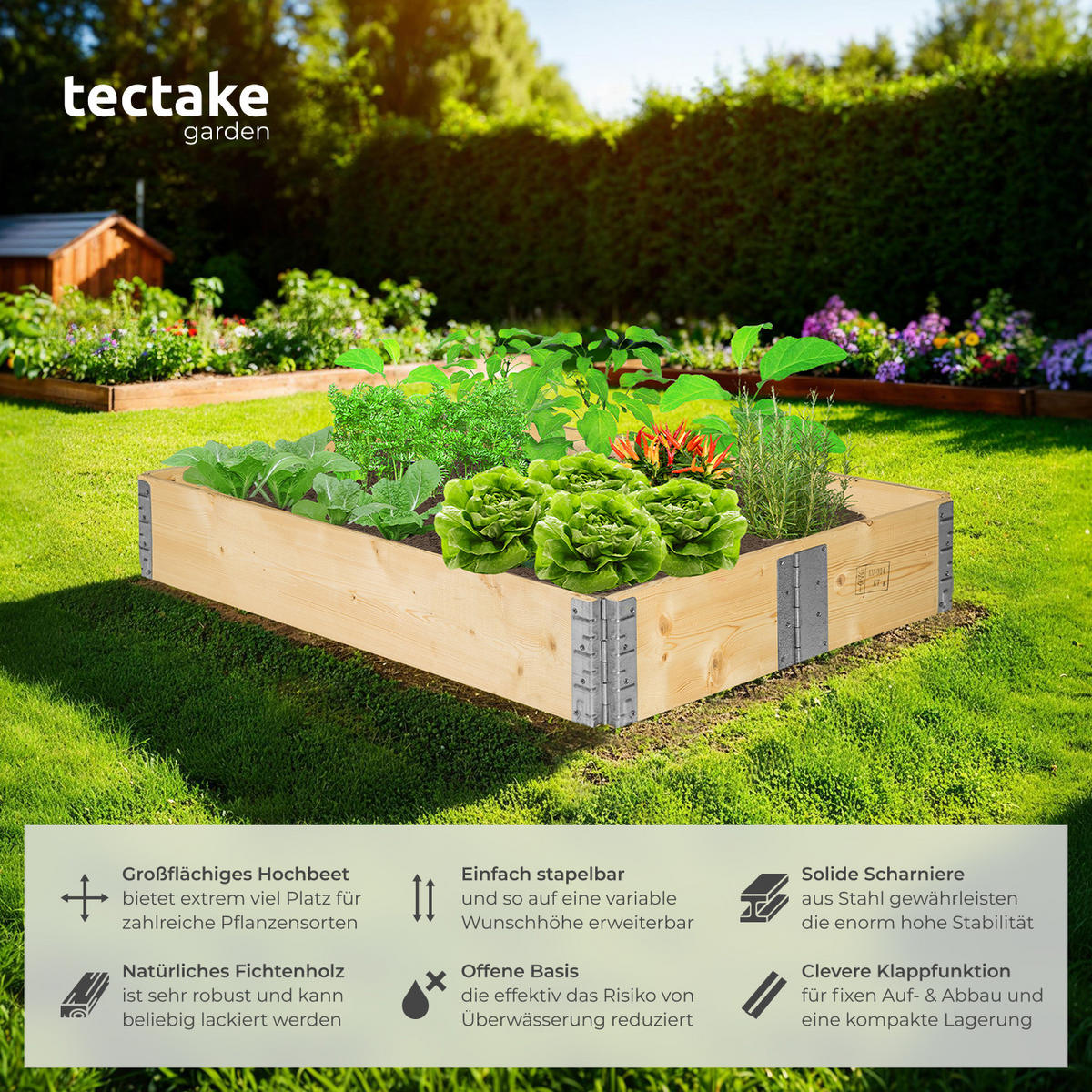 HOCHBEET 1er Set, 120 x 80 x 19 cm, holzdekor - Eiche Artisan, Holz (80/19/120cm) - tectake