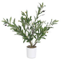 OLIVENBAUM 38/40/58 cm - Multicolor, Kunststoff (58cm) - Ibergarden