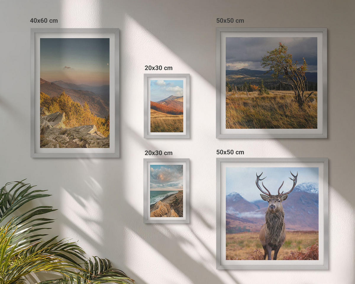 WANDBILDER 5er Set - 50x50 cm & 20x30 cm & 40x60 cm Silberner Rahmen - Berglandschaften, Hirschgras - Silberfarben, Kunststoff (40/60cm) - ArtPrintCave