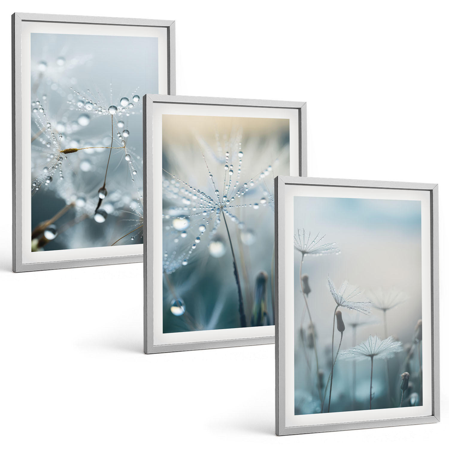BILDER SET 3er Set - 40x60 cm Silberner Rahmen - Tautropfen auf Löwenzahn - Silberfarben, Kunststoff (40/60cm) - TULUP