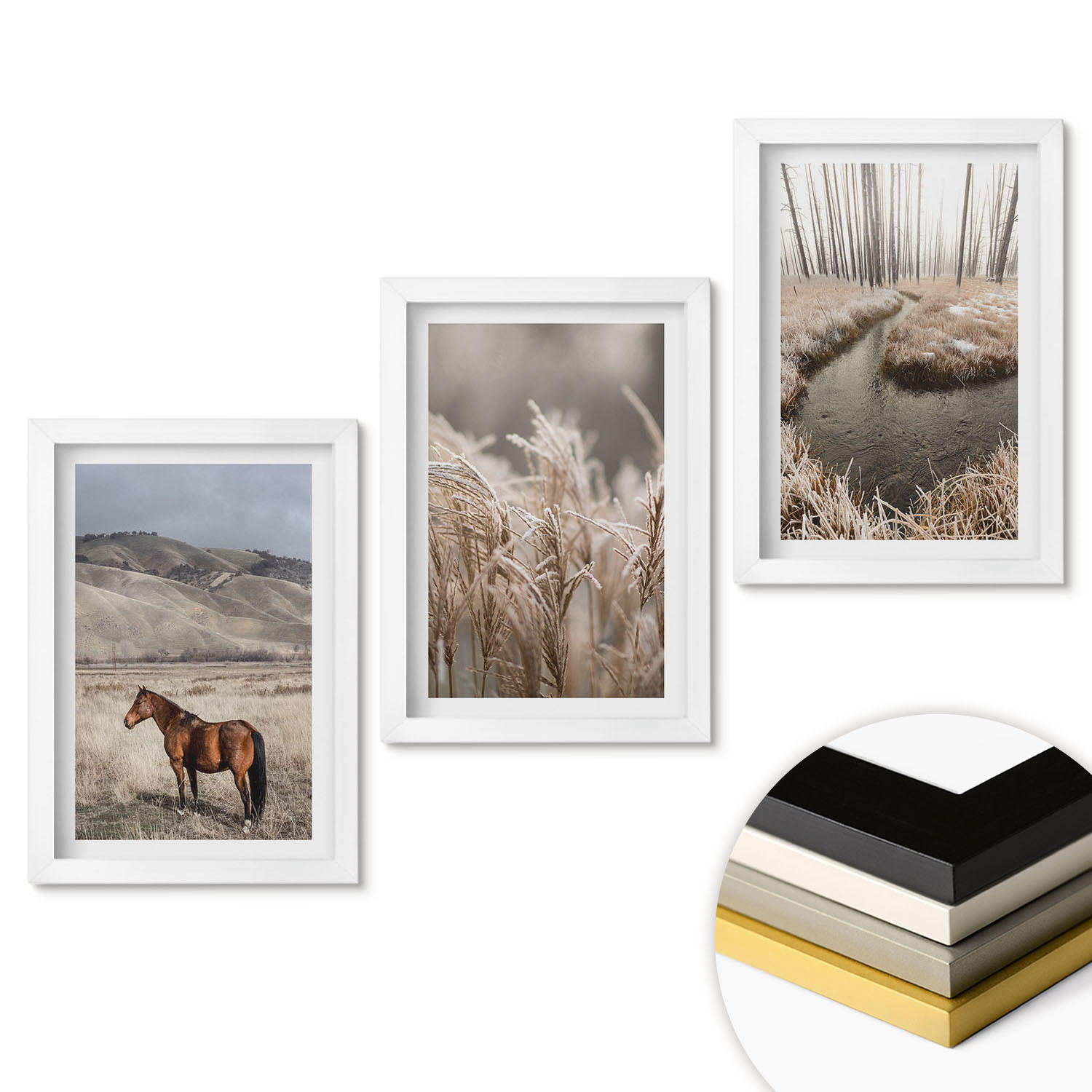 WANDBILDER 3er-Set - 20x30 cm Weißer Rahmen - Pferde, Landschaft, Gras, Bach - Weiß, Kunststoff (20/30cm) - ArtPrintCave