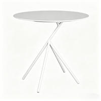 BEISTELLTISCH Stahl Weiß, Matt - Weiß, Metall (38/58/38cm) - Authentics