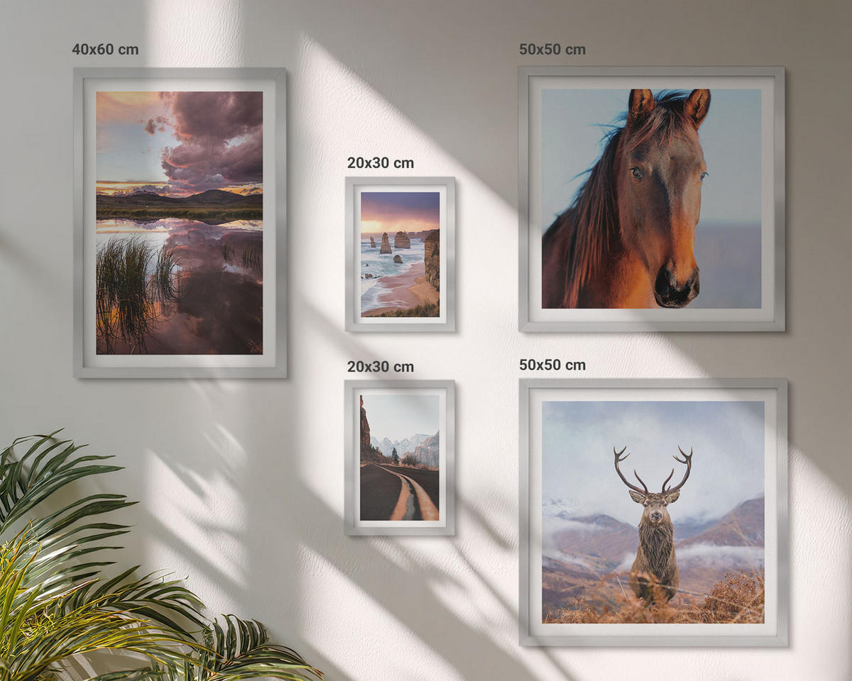 WANDBILDER 5er Set - 50x50 cm & 20x30 cm & 40x60 cm Silberner Rahmen - Berglandschaften, Rentiere, Pferdestraße - Silberfarben, Kunststoff (40/60cm) - ArtPrintCave