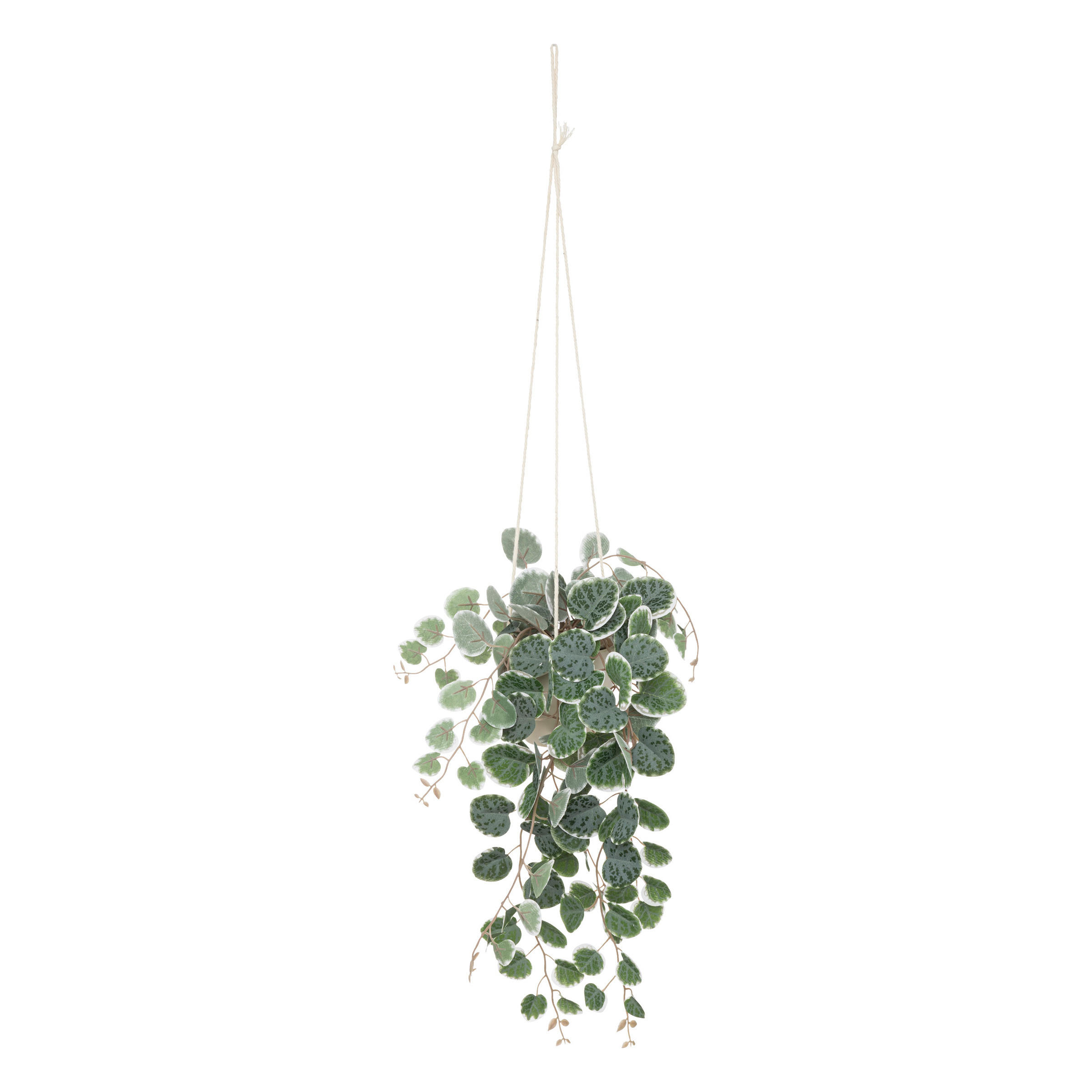 Atmosphera Createur d´interieur Hängepflanze Grün 40 cm