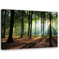 LEINWANDBILD Wald bei Sonnenaufgang 60x40cm - Grün, Textil (60/40cm) - Feeby