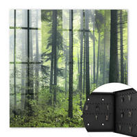 SCHLÜSSELBOX Schwarz 30x30 cm- Türöffnung nach rechts - Grüner Wald - Grün, Metall (30/30/5cm) - TULUP