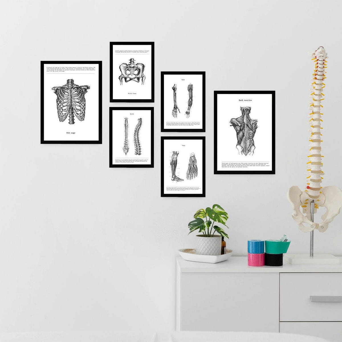 POSTER Set Mit 6 Anatomie Sammlung Von Platten Größe A3 und A4 Rahmenlos - Klar, Papier (29.7/1/42cm) - Nacnic