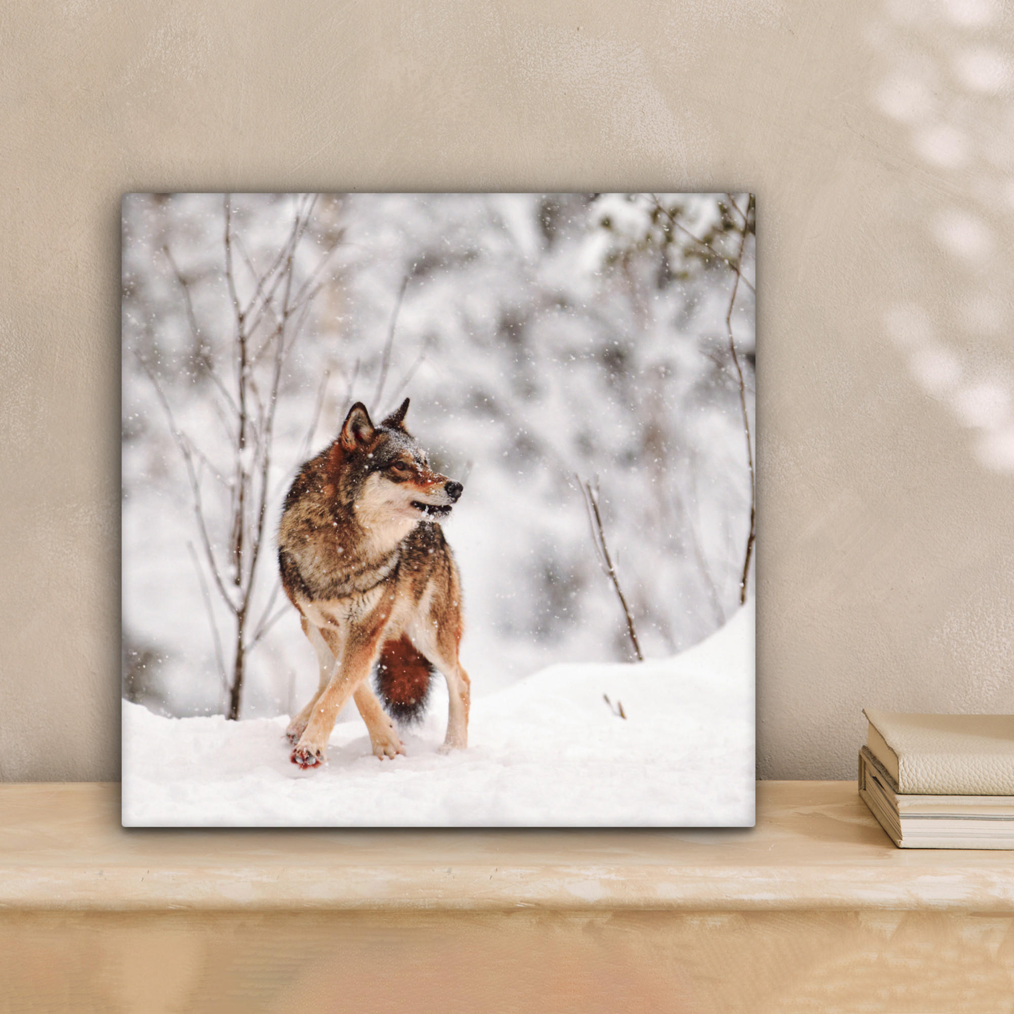 LEINWANDBILD Wolf - Winter - Schnee - Natur - Tiere 20x20 cm - Haselnussfarben, Textil (20/20cm) - MuchoWow