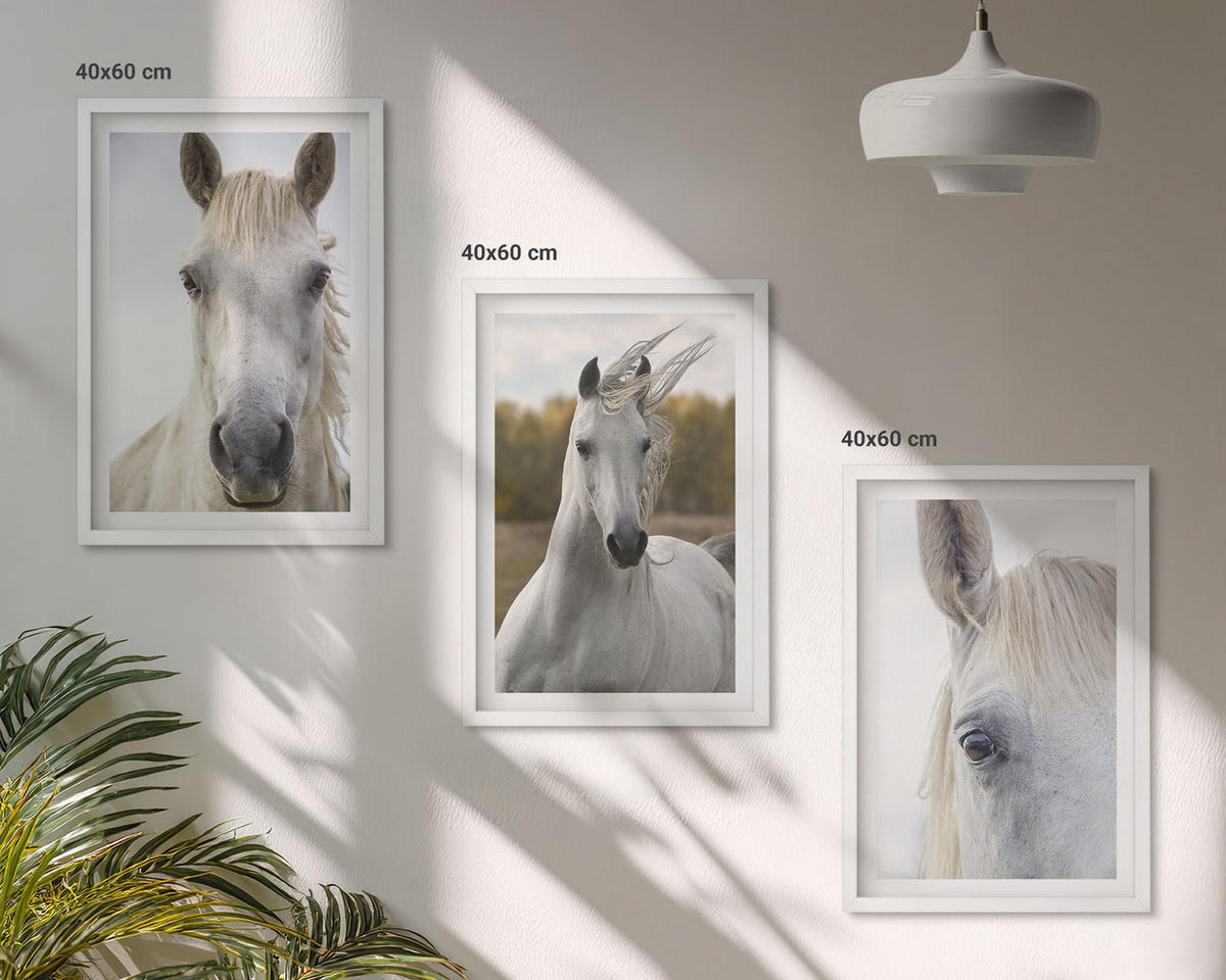 WANDBILDER 3er-Set - 40x60 cm Weißer Rahmen - Weiße Pferde in der Natur - Weiß, Kunststoff (40/60cm) - ArtPrintCave