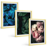 BILDER SET 3er Set - 40x60 cm Goldrahmen - Blätter, Blüten, verschiedene Farben - Goldfarben, Kunststoff (40/60cm) - TULUP