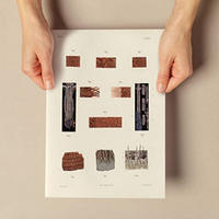 POSTER Medizinische Illustrationen – Haarfollikel A4 Rahmenlos - Klar, Papier (29.7/5/21cm) - Nacnic