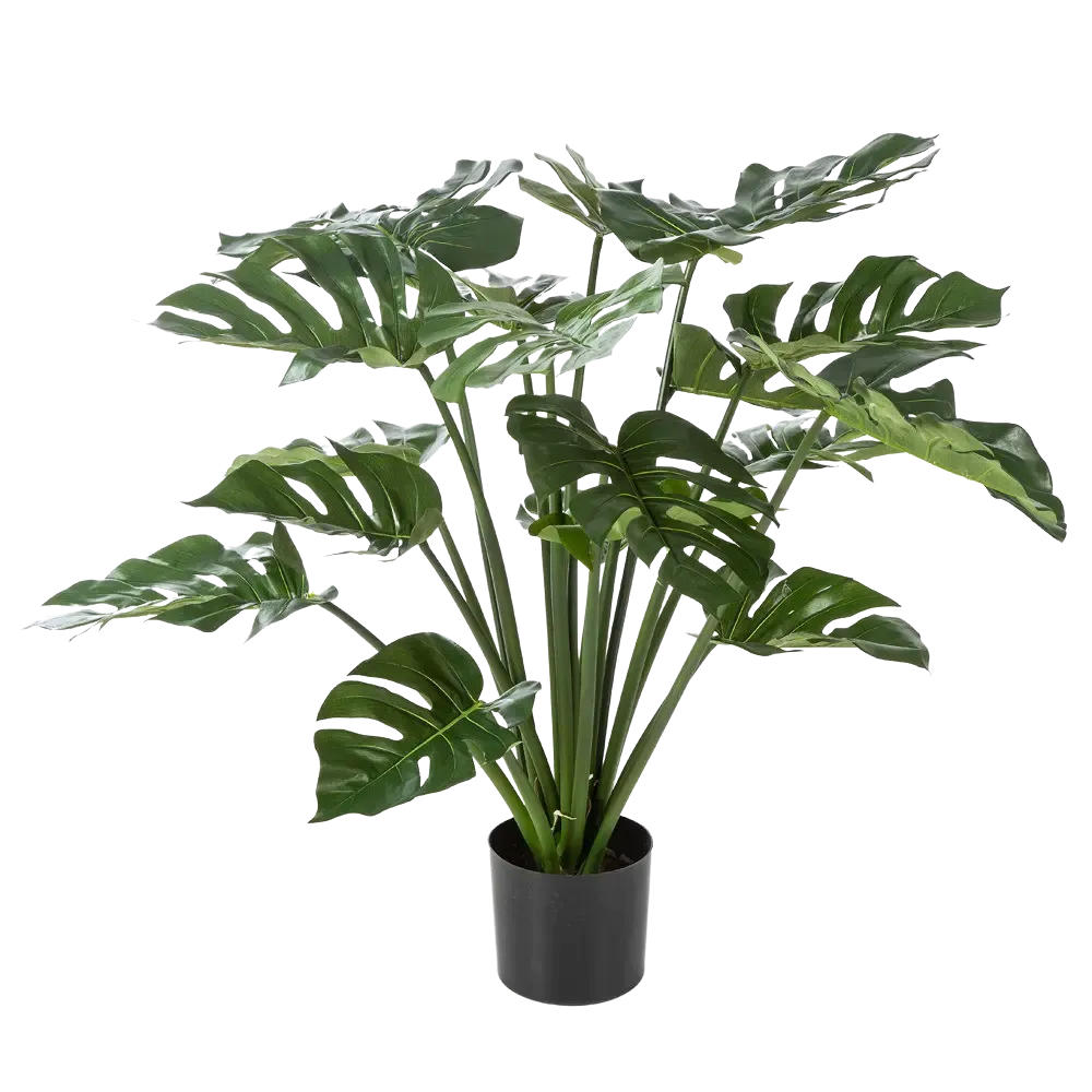 KUNSTPFLANZE Künstliche Monstera - Thilo 98 cm - Grün, Kunststoff (98cm) - aplanta