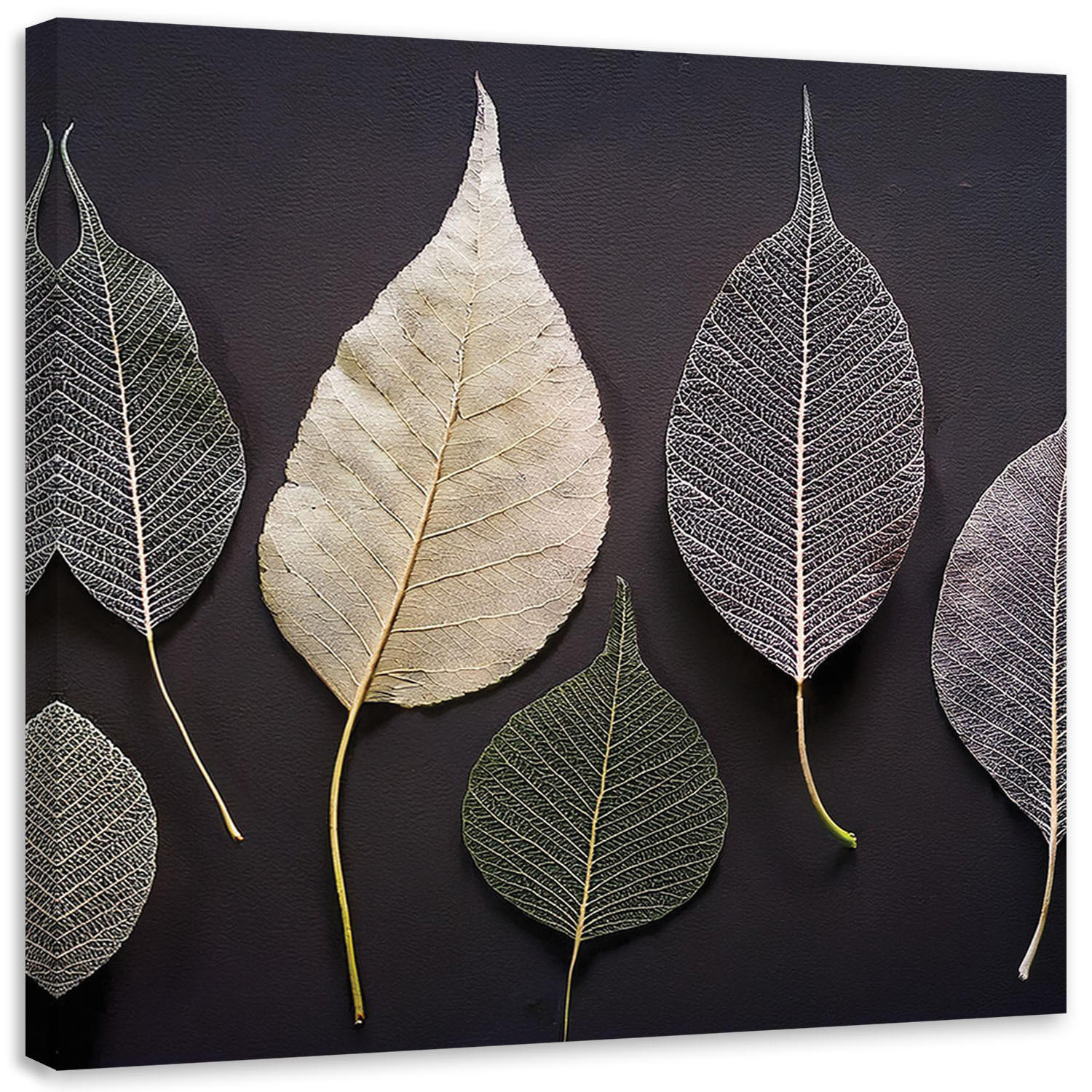 LEINWANDBILD Minimalismus hinterlässt Glamourpflanzen 30x30cm - Grau, Textil (30/30cm) - Feeby
