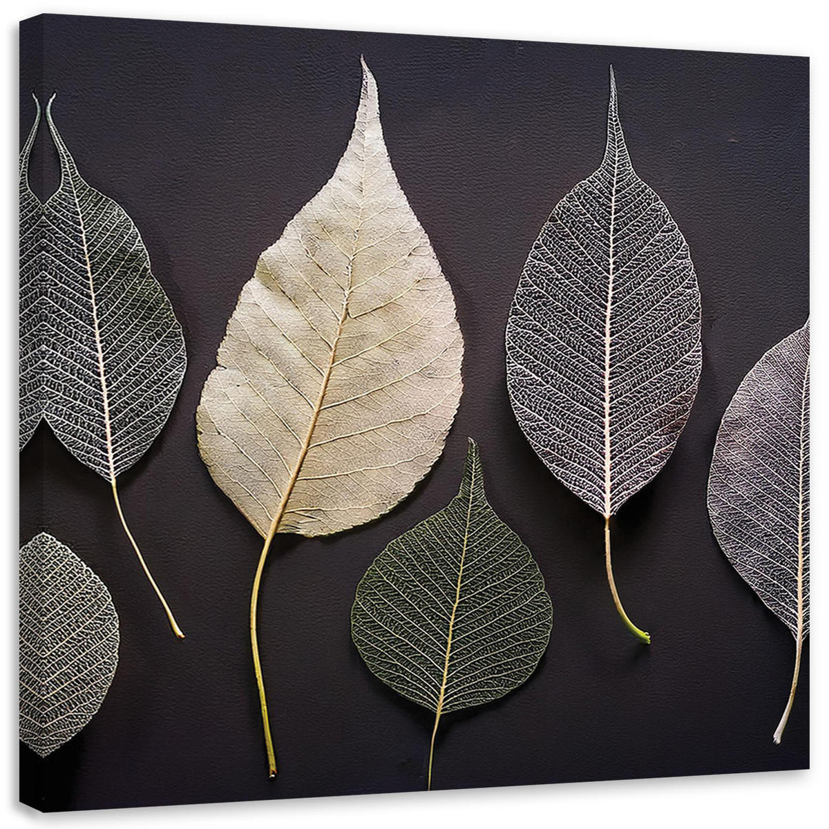 LEINWANDBILD Minimalismus hinterlässt Glamourpflanzen - Grau, Textil (40/40cm) - Feeby