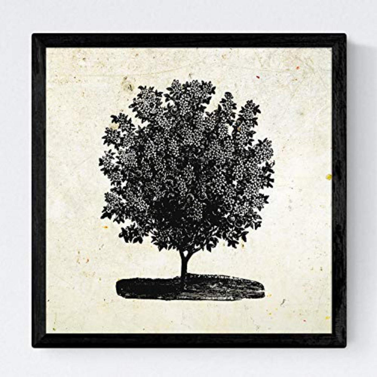 POSTER Set mit 4 Blättern der Jahrgang Hintergrund Altpapier 30x30 cm Rahmenlos - Klar, Papier (30/3cm) - Nacnic