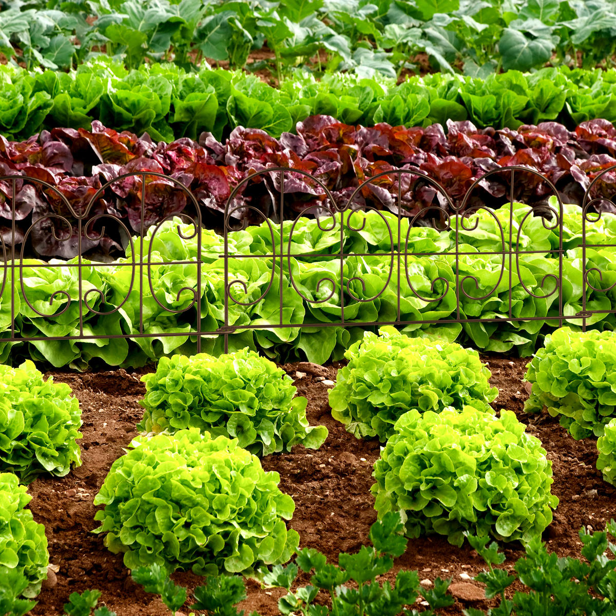 4XBEETEINFASSUNG - Braun, Metall (38.5/28/1.5cm) - Relaxdays