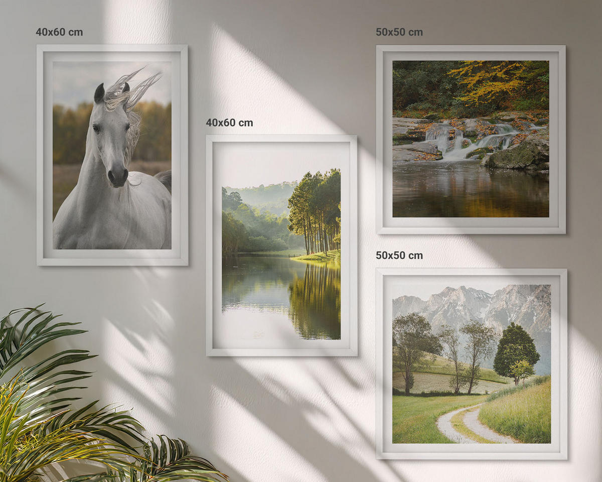 BILDER SET 4er Set - 50x50 cm & 40x60 cm Weißer Rahmen - Natur des Flusses White Horses - Weiß, Kunststoff (50/50cm) - TULUP