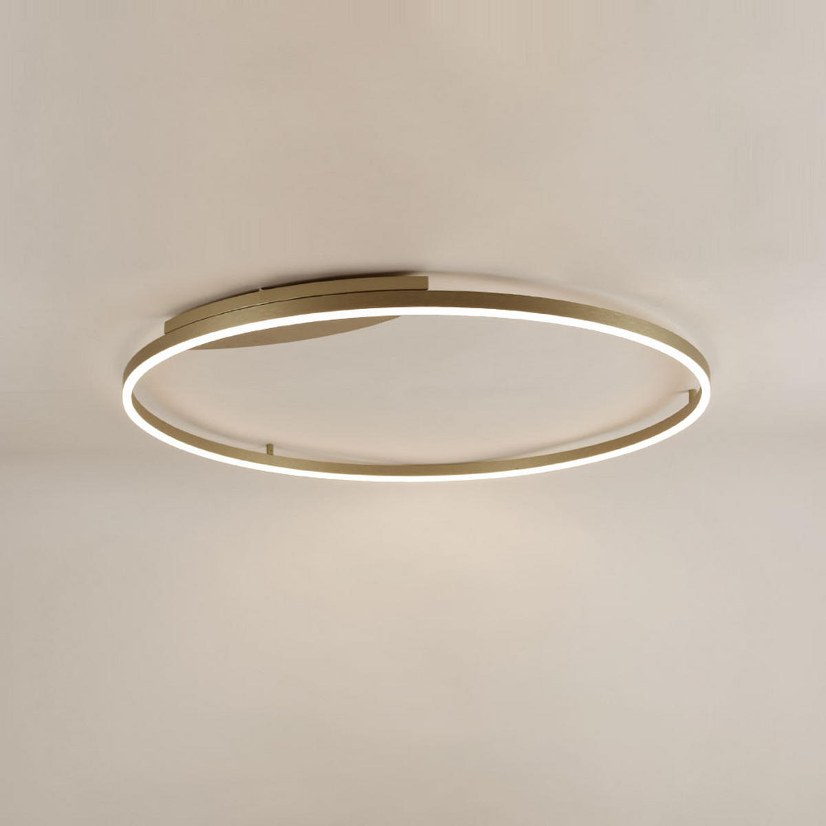 LED-WAND-/DECKENLAMPE Ring Aluminium Ø 100cm - Alufarben, Metall (100/100/5.5cm) - s.luce