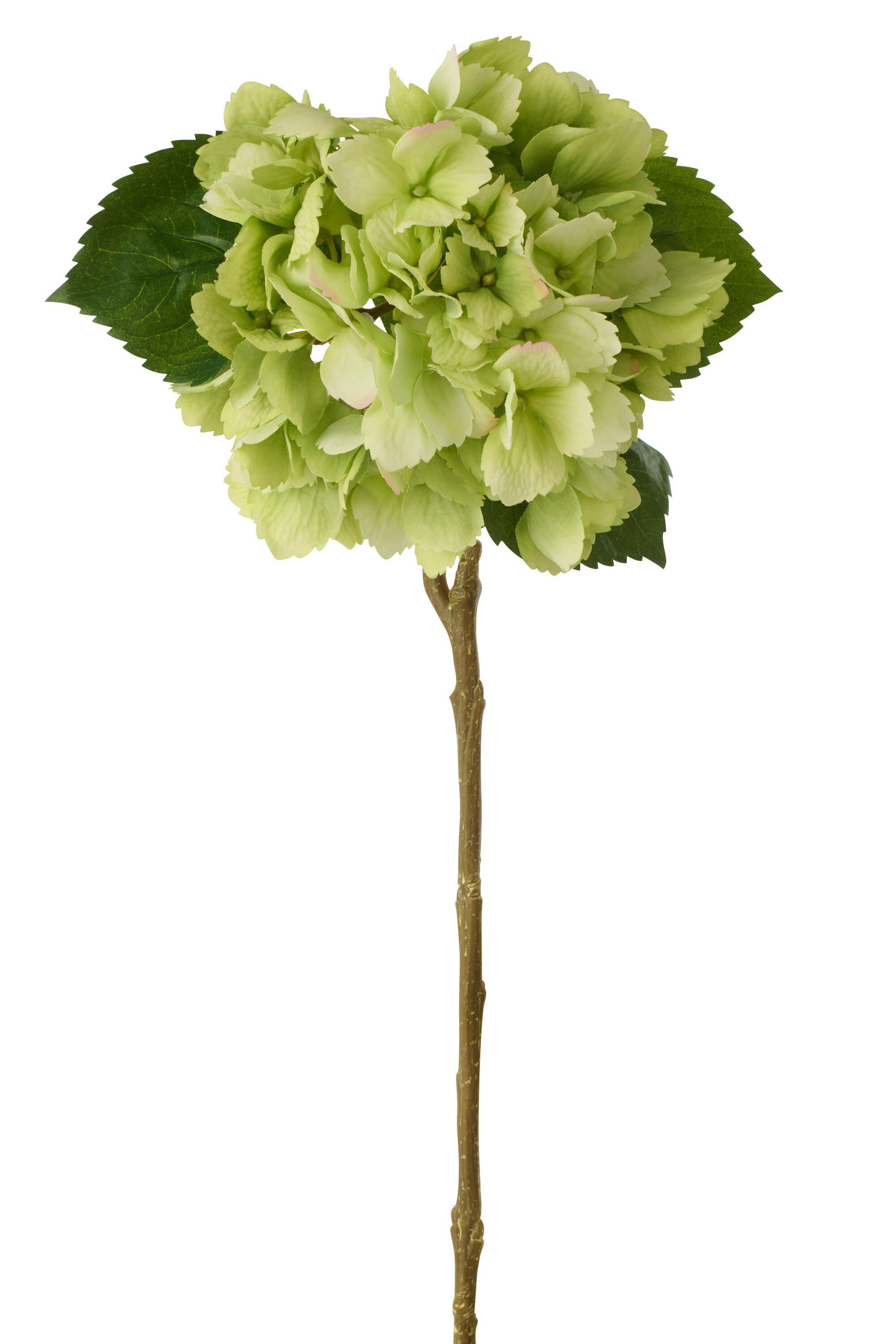 BLUME HORTENSIE GEFÜHLSECHT Grün - Grün, Kunststoff (62cm) - J-Line