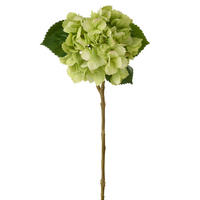 BLUME HORTENSIE GEFÜHLSECHT Grün - Grün, Kunststoff (62cm) - J-Line