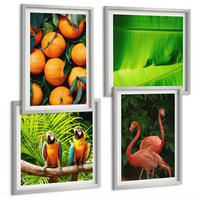 BILDER SET 4er Set - 50x50 cm & 40x60 cm Silberner Rahmen - Fruchtige Akzente der Tropen - Silberfarben, Kunststoff (50/50cm) - TULUP