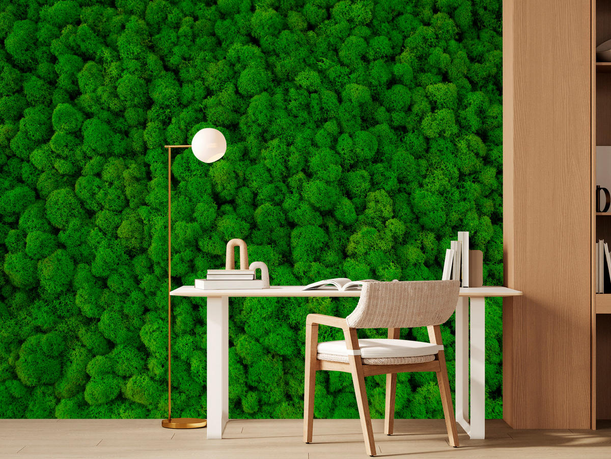 FOTOTAPETE für Jugendzimmer Dekorativer Grüner Moos Modern 200x140 - Grün, Papier (200/140cm) - Muralo