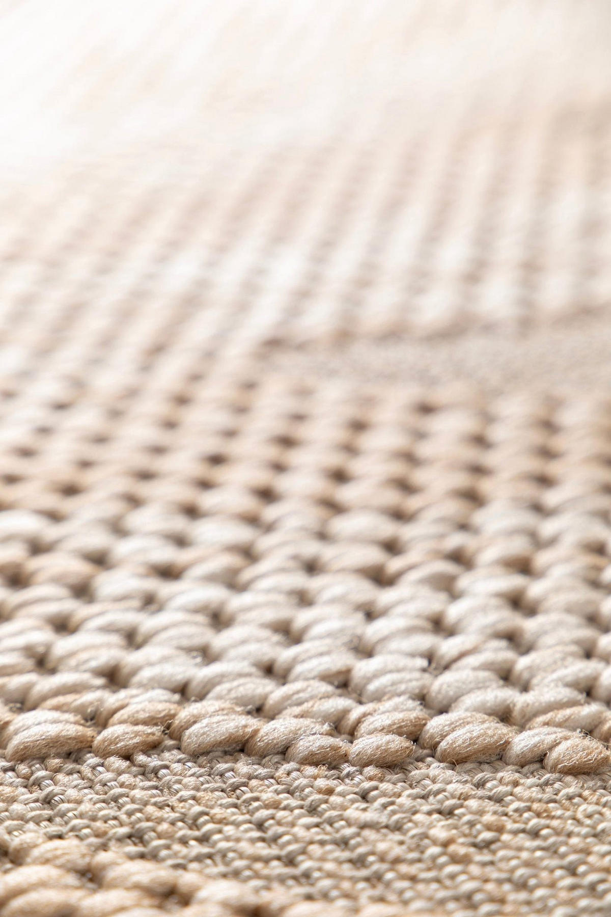 TEPPICH für Innen und Außen mit Skulptureffekt bruin - Braun, Textil (200/290cm) - AFK Living