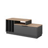 LOWBOARD Betti Anthrazit/Sonoma 120 x 49.9 cm mit 1 Tür - Anthrazit/Sonoma Eiche, Holzwerkstoff (120/49.9/40cm) - Vicco