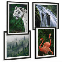 BILDER SET 4er Set - 50x50 cm & 40x60 cm Schwarzer Rahmen - Tiger Wasserfall Flamingos Natur - Schwarz, Kunststoff (50/50cm) - TULUP