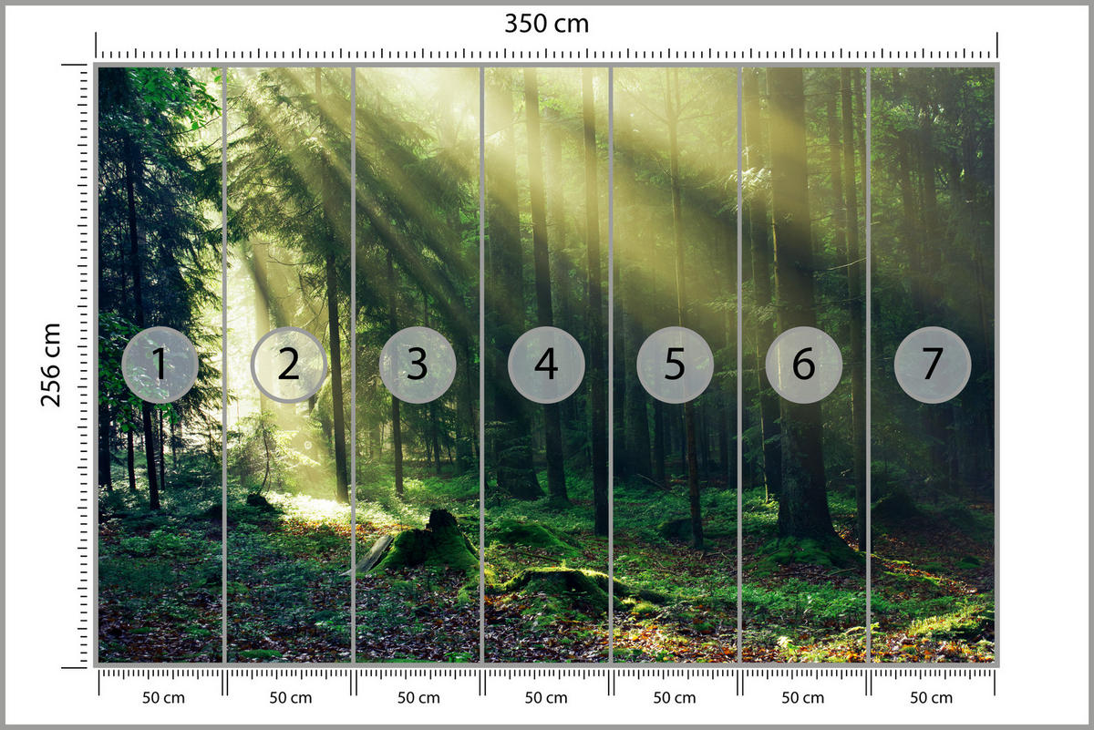 FOTOTAPETE für Schlafzimmer Sonnenaufgang Wald Bäume Moos 350x256 - Gelb/Braun, Papier (350/256cm) - Muralo