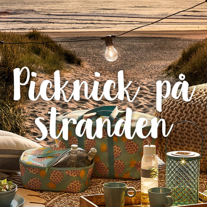 Picknick pa stranden