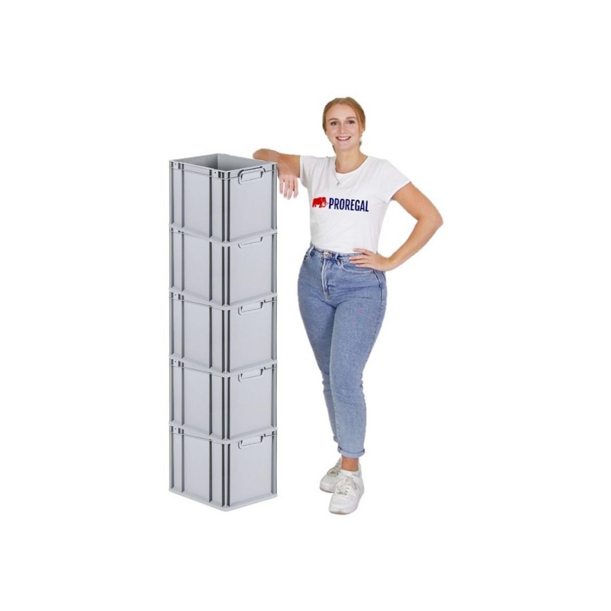 EUROBOX 5x Nextgen Economy Mit Scharnierdeckel Grau/Schwarz Griffe Geschlossen - Schwarz, Kunststoff (30/32/40cm) - PROREGAL