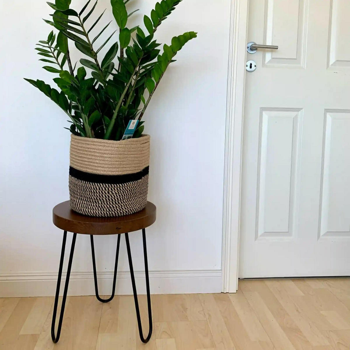 SCHEMEL aus Massivholz fürs Esszimmer - Eichefarben, Holz (35/43/35cm) - Rawood Furniture