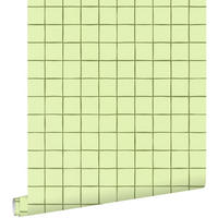 TAPETE Karomuster 50 x 900 cm - Grün, Papier (50/900cm) - ESTAhome