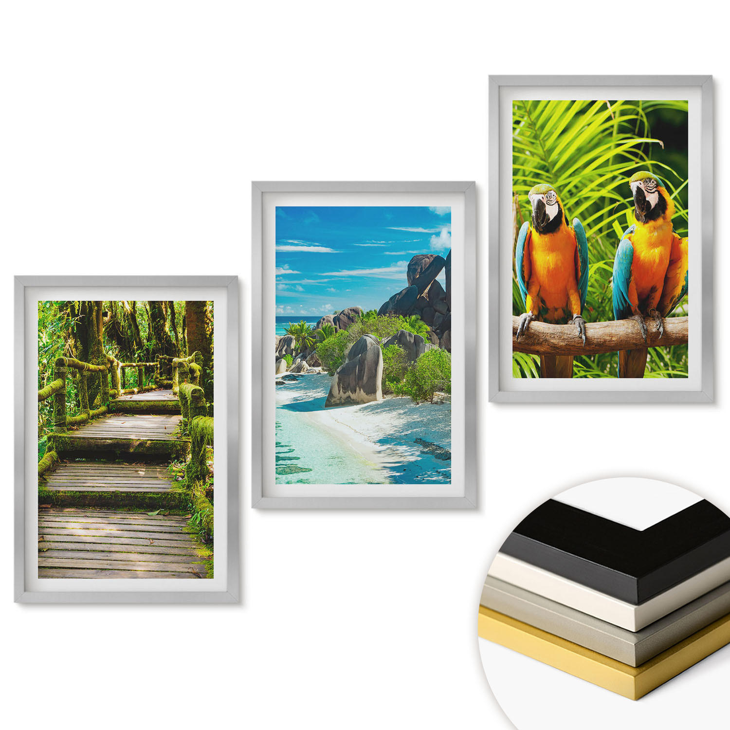 WANDBILDER 3er Set - 40x60 cm Silberner Rahmen - Tropischer Wald Papageienwasserfall - Silberfarben, Kunststoff (40/60cm) - ArtPrintCave