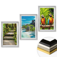 WANDBILDER 3er Set - 40x60 cm Silberner Rahmen - Tropischer Wald Papageienwasserfall - Silberfarben, Kunststoff (40/60cm) - ArtPrintCave