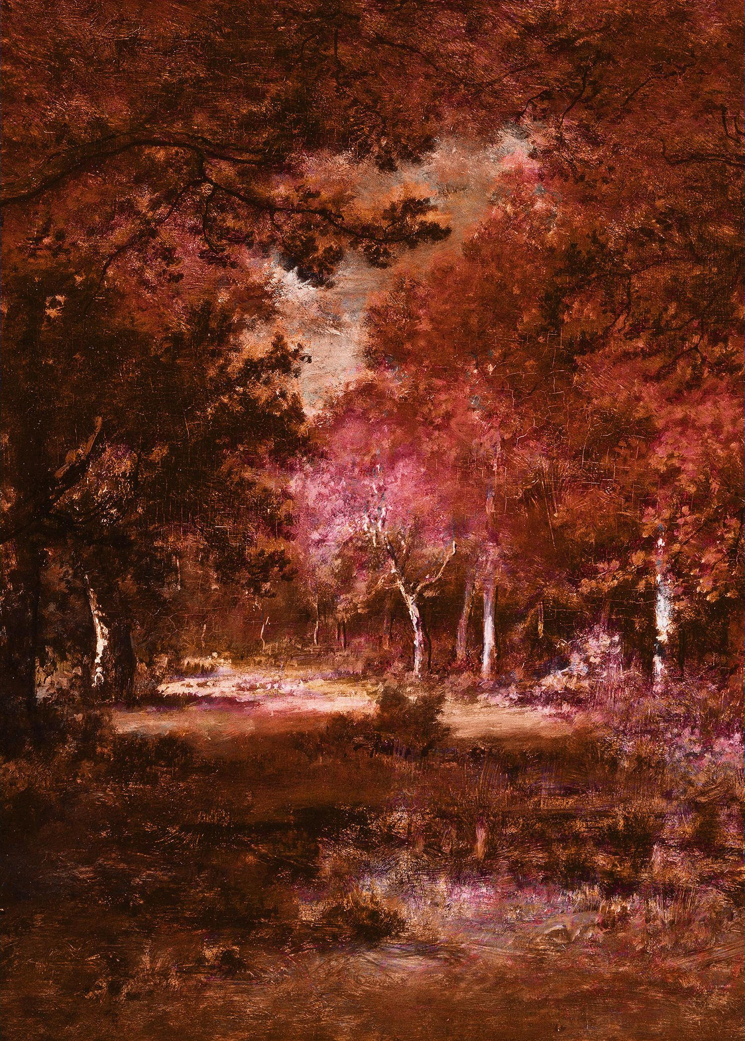 FOTOTAPETE Herbst 200 x 280 cm - Rot, Papier (200/280cm) - Sanders & Sanders