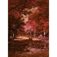 FOTOTAPETE Herbst 200 x 280 cm - Rot, Papier (200/280cm) - Sanders & Sanders