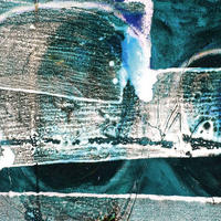 FOTOTAPETE künstlerisch 500 x 280 cm - Grün, Papier (500/280cm) - Sanders & Sanders