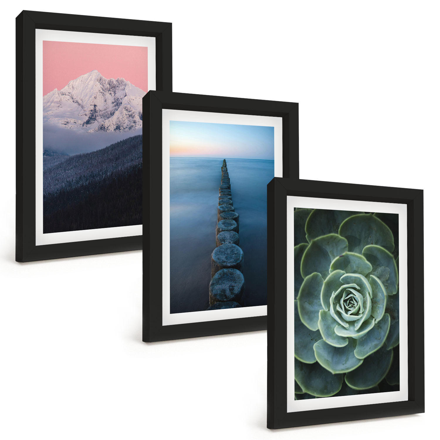 BILDER SET 3er Set - 20x30 cm Schwarzer Rahmen - Berge, rosa Himmel, Wasser, Sukkulente - Schwarz, Kunststoff (20/30cm) - TULUP