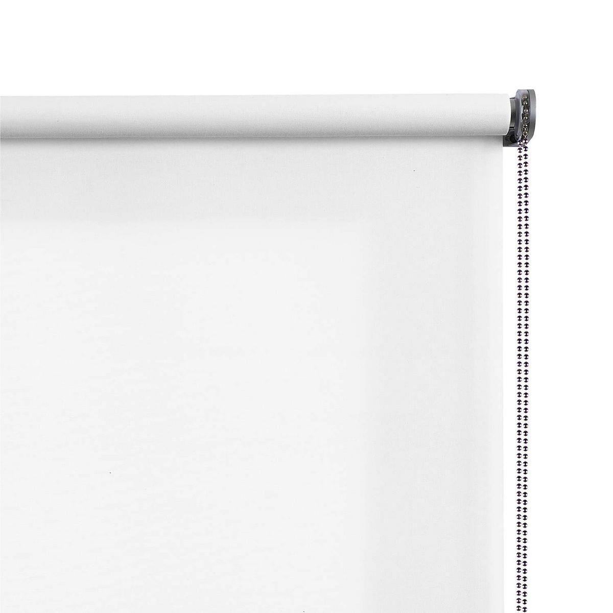 ROLLO| Weiß, 120 cm x 250 cm - Weiß, Kunststoff (120/250cm) - STORESDECO