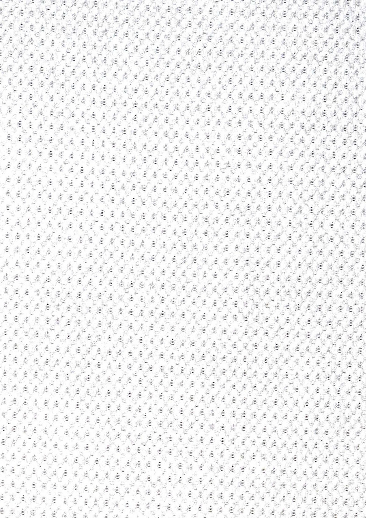 POLSTERBETT Dalas Weiß 160 x 200 x 40 cm Bettkasten Mit hochwertiger Matratze H2 (bis 100 kg) und Lattenrost - Weiß, Holz (160/200cm) - Halmon Schlafkomfort Betten 