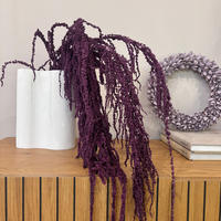 AMARANTHUS Stiele - lila / 30 cm - Lila, Naturmaterialien (30cm) - Lykke & You