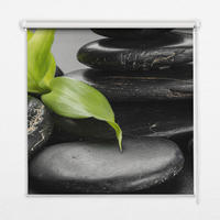 VNÚTORNÁ roleta - okenná roleta - roleta - 100x100 cm - Orchidea na kameňoch - fialová, plast (100/100/0.5cm) - TULUP