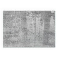 GLASPLATTE für Kamin 100x70 cm - Grau, Glas (100/70/0.4cm) - TULUP