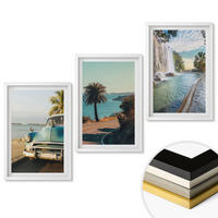 WANDBILDER 3er-Set - 40x60 cm Weißer Rahmen - Urlaub Palmen Wasserfall - Weiß, Kunststoff (40/60cm) - ArtPrintCave