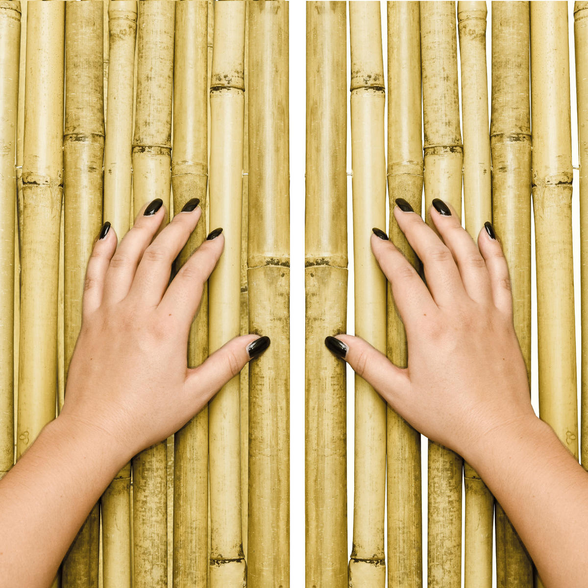 SICHTSCHUTZZAUN SolVision B89 100/250 cm Bambus Hell - Weiß, Naturmaterialien (250/100cm) - Sol Royal