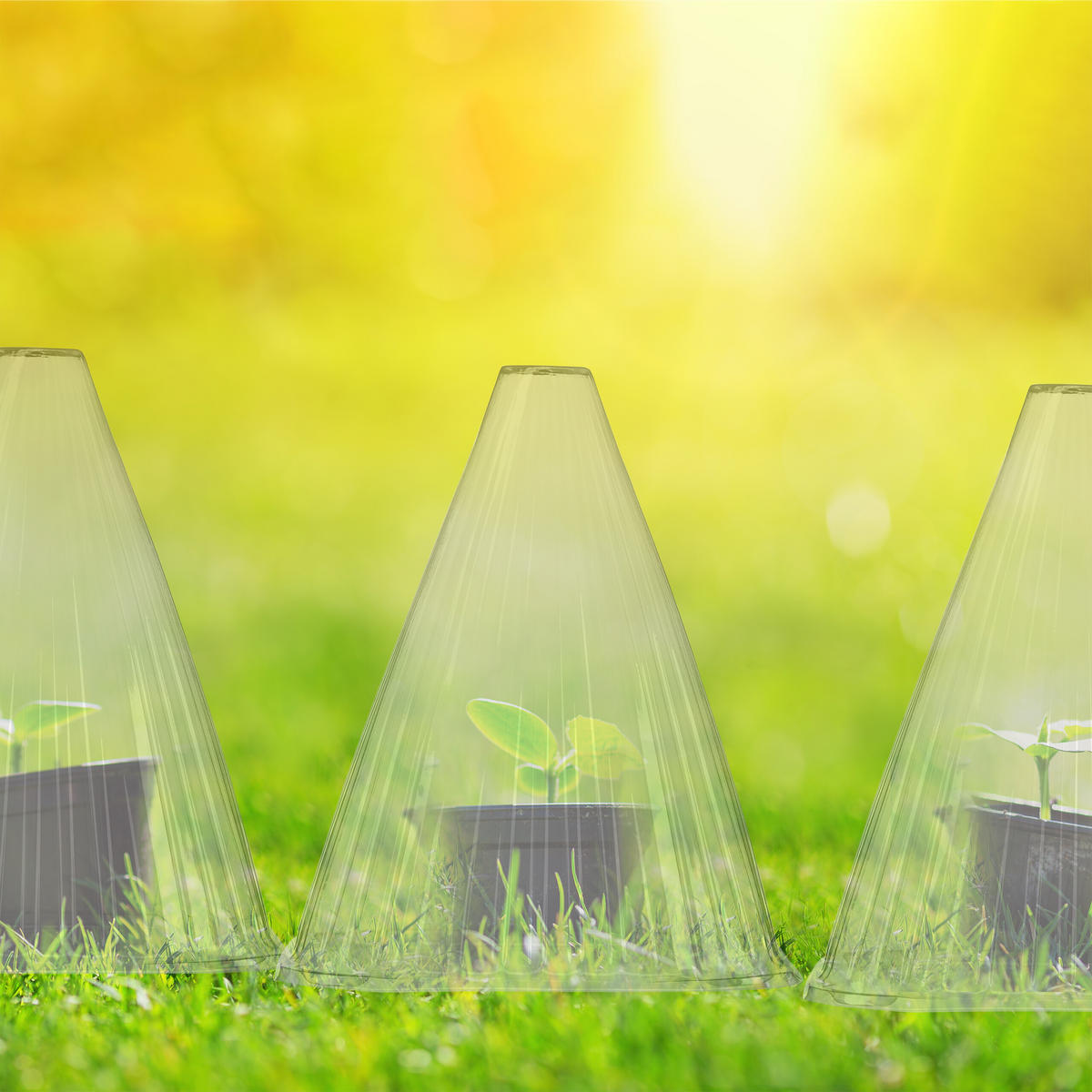 32XPFLANZENHUT - Grau, Kunststoff (19/22/19cm) - Relaxdays