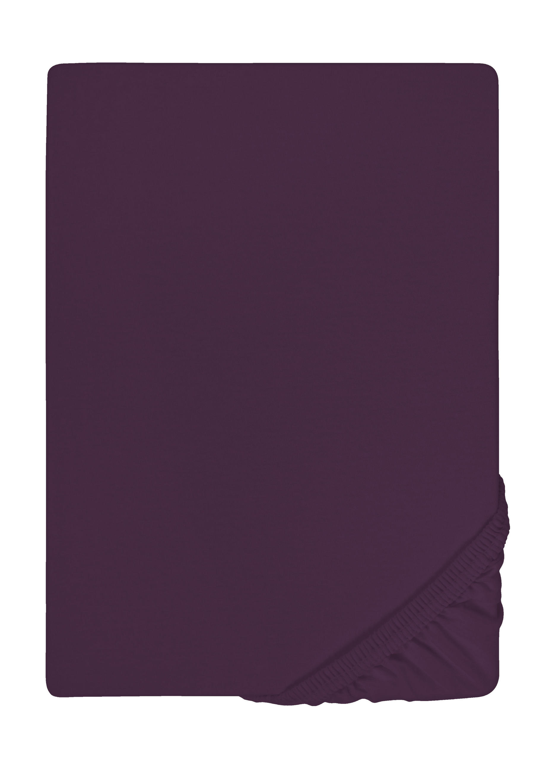 biberna Spannbetttuch Violett 130x220 cm