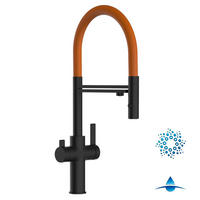 4-WEGE-KÜCHENARMATUR, Schwarz Matt und Orange, 2-Strahl-Brause - Orange, Metall (20.61/48/20.61cm) - VIZIO
